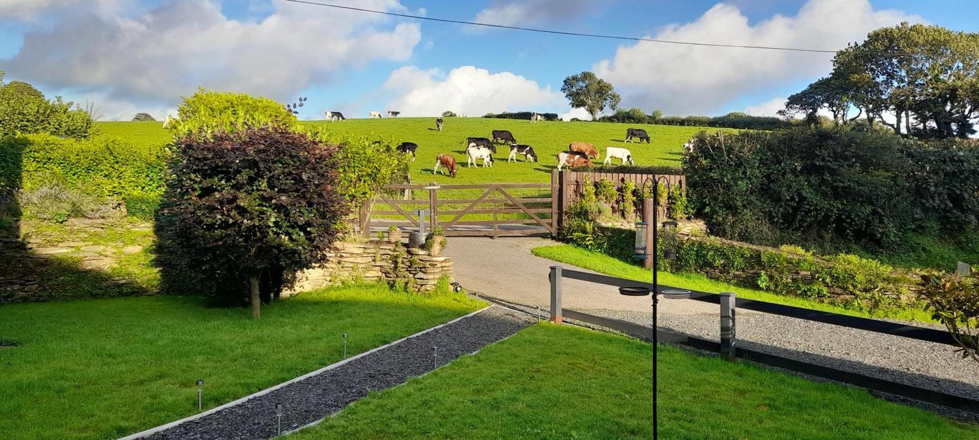 Вилла Wisteria Barn, Trewethen, St Teath, Nr Port Isaac Saint Teath Экстерьер фото