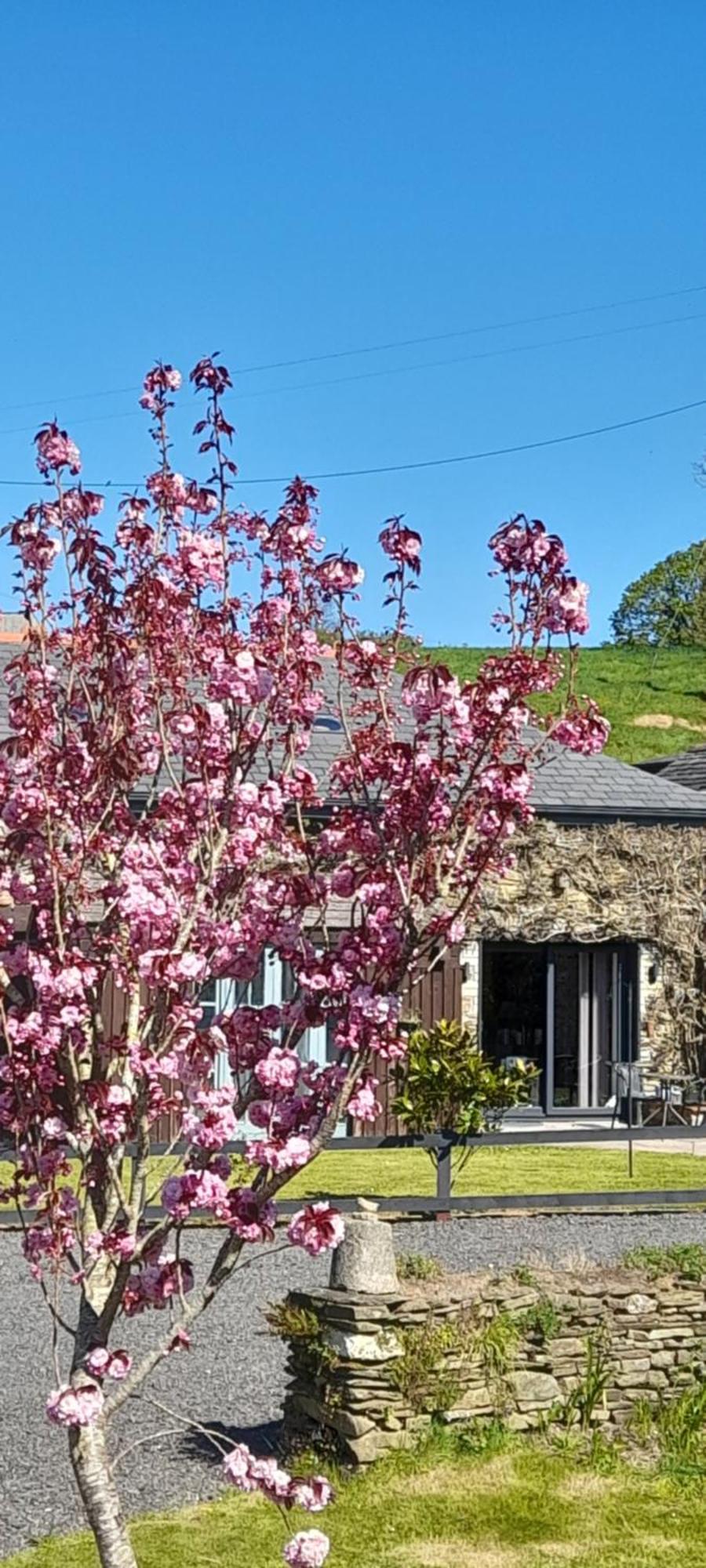Вилла Wisteria Barn, Trewethen, St Teath, Nr Port Isaac Saint Teath Экстерьер фото